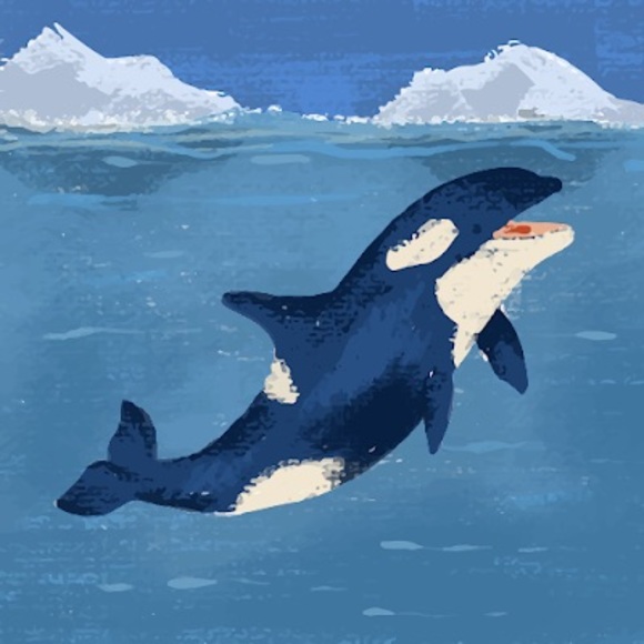 Meet your Posher, Leigh - Picture 1 of 1